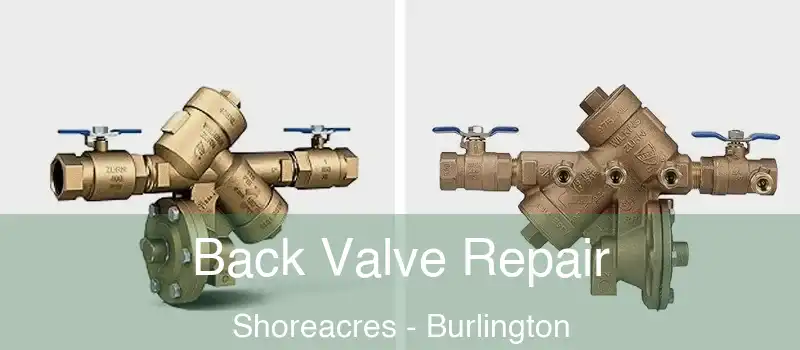  Back Valve Repair Shoreacres - Burlington