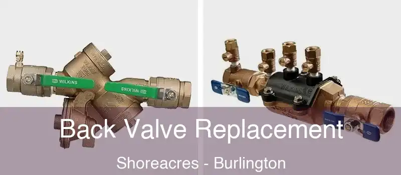  Back Valve Replacement Shoreacres - Burlington