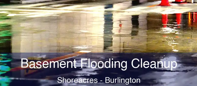  Basement Flooding Cleanup Shoreacres - Burlington