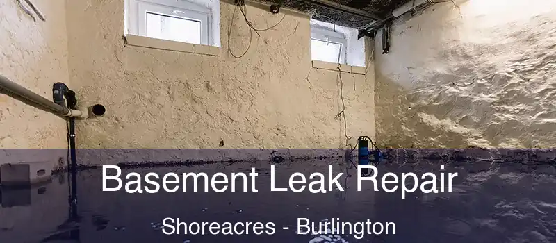  Basement Leak Repair Shoreacres - Burlington