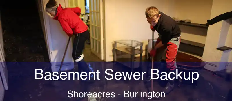  Basement Sewer Backup Shoreacres - Burlington