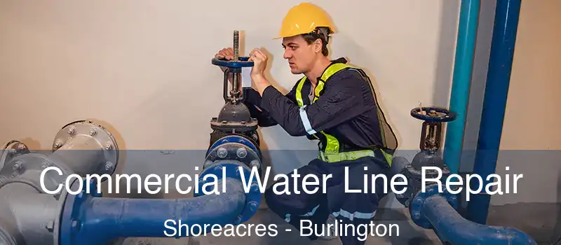  Commercial Water Line Repair Shoreacres - Burlington