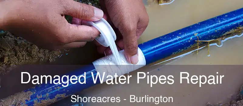  Damaged Water Pipes Repair Shoreacres - Burlington