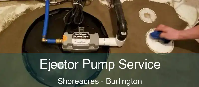  Ejector Pump Service Shoreacres - Burlington