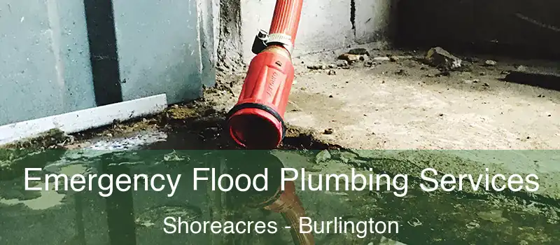  Emergency Flood Plumbing Services Shoreacres - Burlington