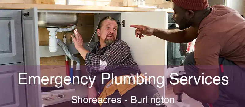  Emergency Plumbing Services Shoreacres - Burlington