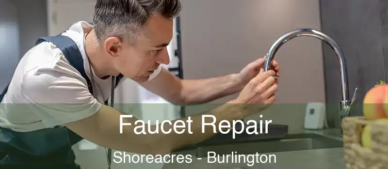  Faucet Repair Shoreacres - Burlington