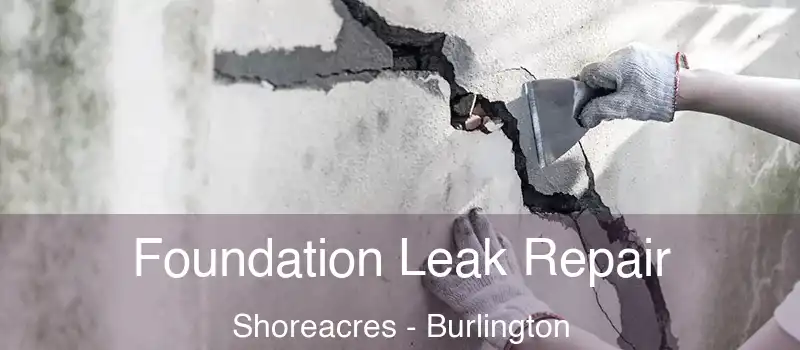  Foundation Leak Repair Shoreacres - Burlington