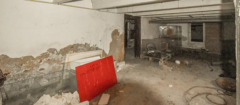 Home Basement Renovation in Shoreacres, Burlington