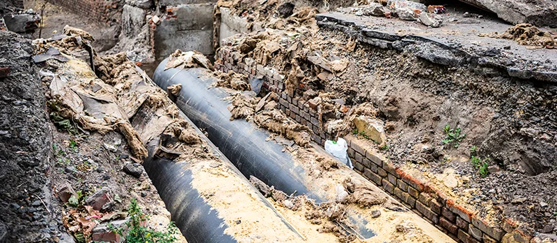Commercial Sewer Tree Roots Damage Solutions in Shoreacres, Burlington