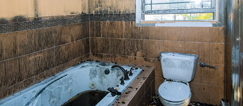 Residential Water Damage Restoration in Shoreacres, Burlington