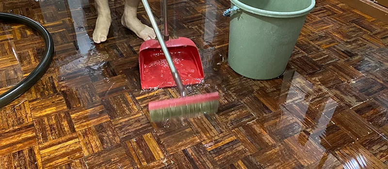 Water Removal And Restoration Services in Shoreacres, Burlington