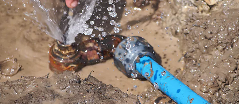 Reasons to Replace Your Lead Pipes in Shoreacres, Burlington