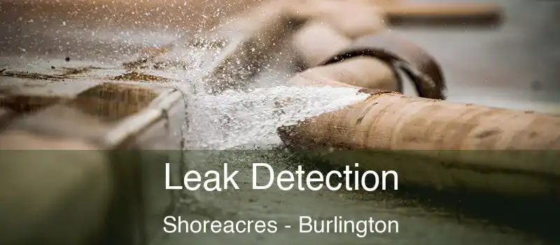  Leak Detection Shoreacres - Burlington