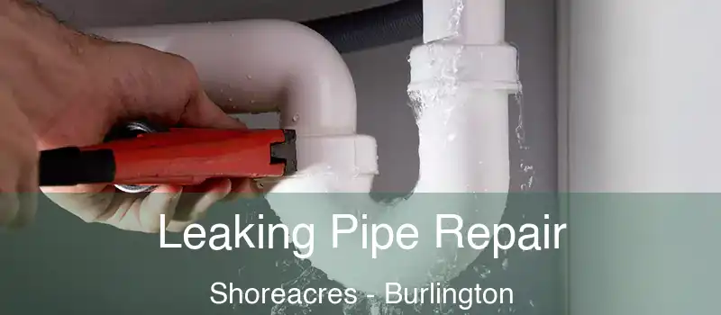  Leaking Pipe Repair Shoreacres - Burlington