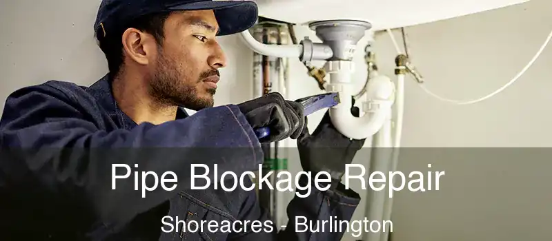  Pipe Blockage Repair Shoreacres - Burlington