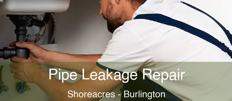  Pipe Leakage Repair Shoreacres - Burlington