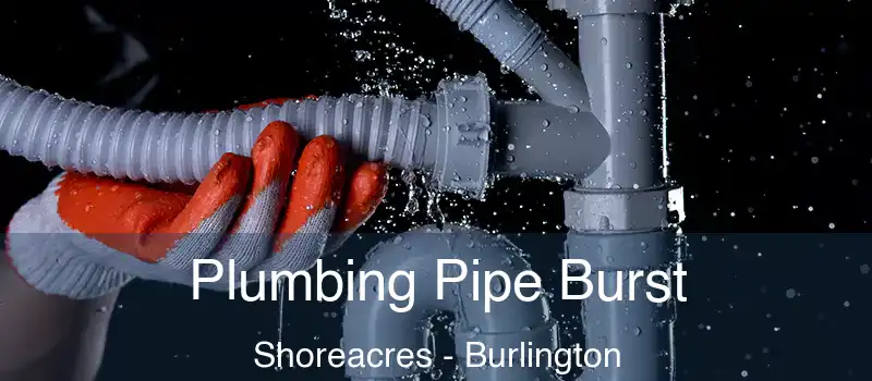  Plumbing Pipe Burst Shoreacres - Burlington