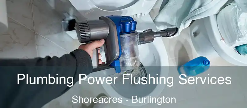  Plumbing Power Flushing Services Shoreacres - Burlington