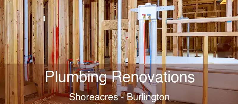  Plumbing Renovations Shoreacres - Burlington