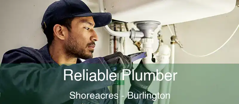  Reliable Plumber Shoreacres - Burlington