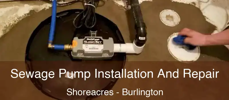  Sewage Pump Installation And Repair Shoreacres - Burlington