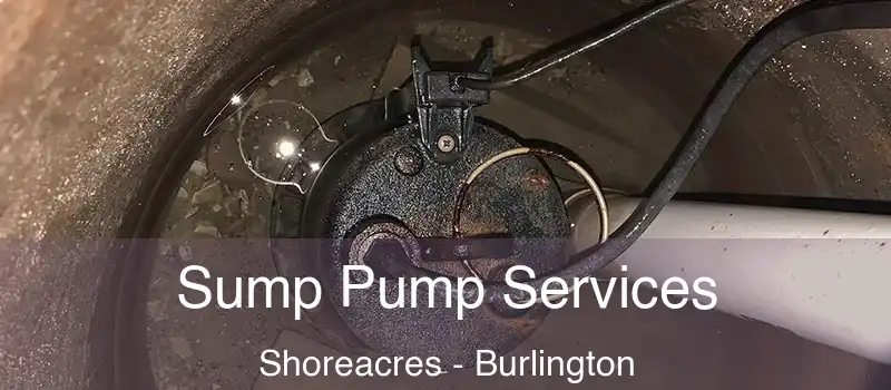  Sump Pump Services Shoreacres - Burlington