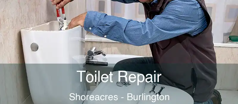  Toilet Repair Shoreacres - Burlington
