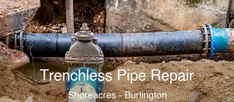  Trenchless Pipe Repair Shoreacres - Burlington