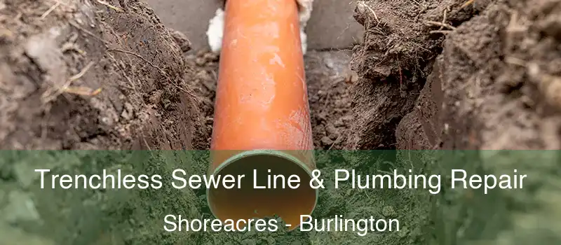  Trenchless Sewer Line & Plumbing Repair Shoreacres - Burlington