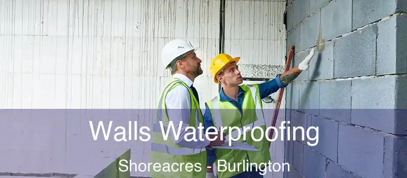  Walls Waterproofing Shoreacres - Burlington