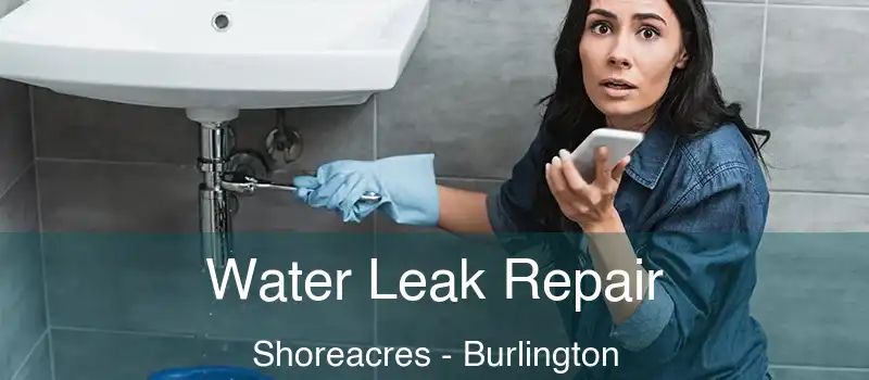  Water Leak Repair Shoreacres - Burlington