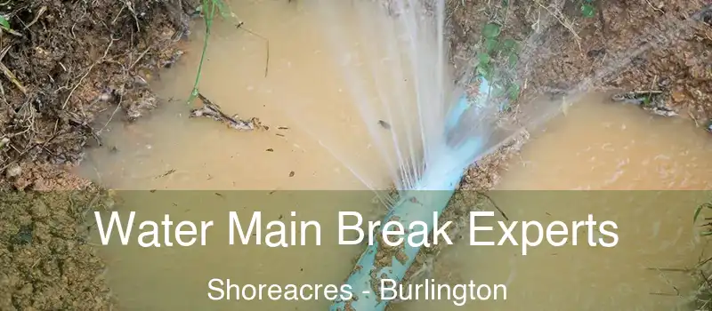  Water Main Break Experts Shoreacres - Burlington