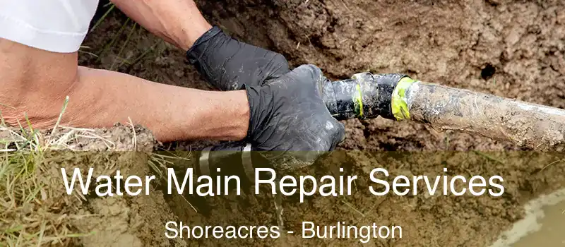  Water Main Repair Services Shoreacres - Burlington